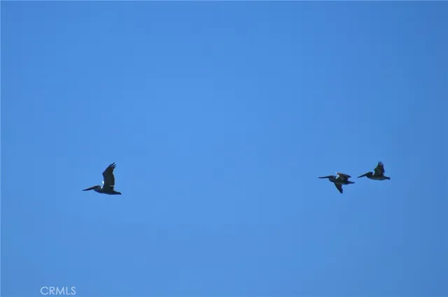 a view of an ocean beach
