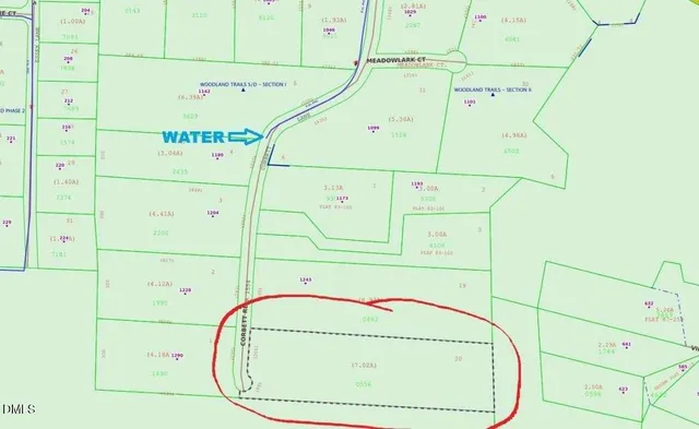 a picture on the wall