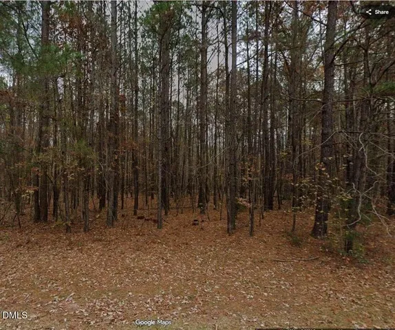 a view of outdoor space with lots of trees