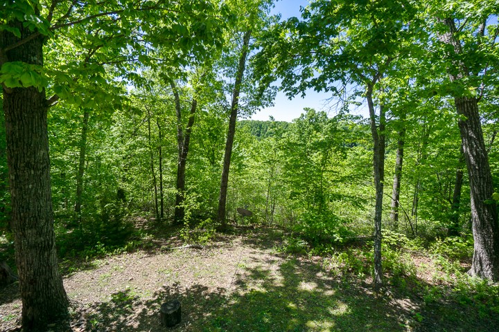 405 Rocky Top Road Sparta, TN 38583 - Photo 36 of 41 a view of a garden with trees