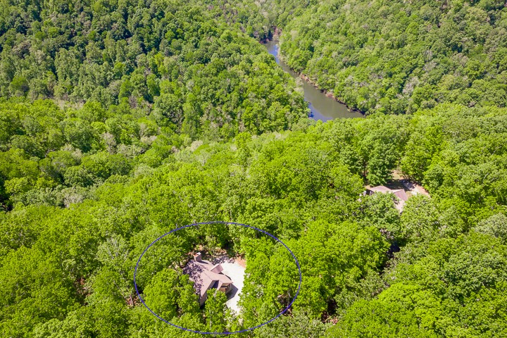 405 Rocky Top Road Sparta, TN 38583 - Photo 40 of 41 a view of a lush green forest with a tree