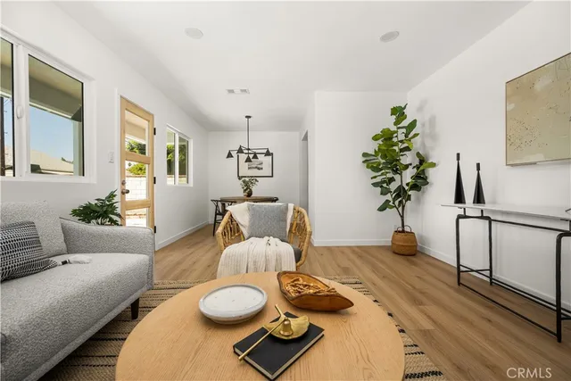 a living room with furniture and a potted plant
