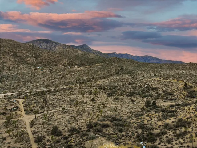 a view of a city with lush green forest