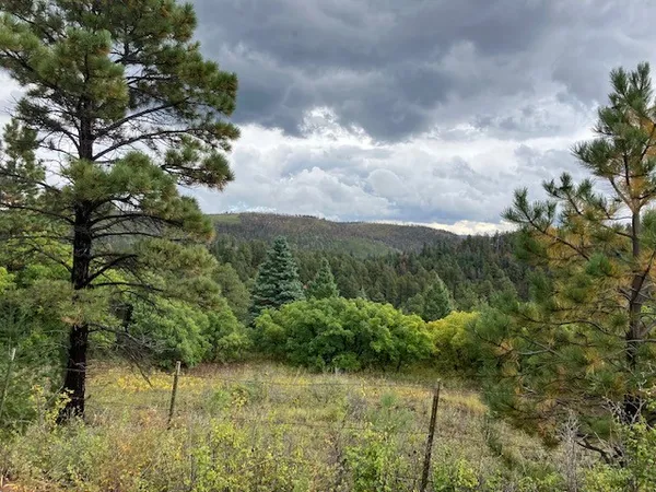 $45,000 | 1 La Sierra Road, Holman, NM 87723