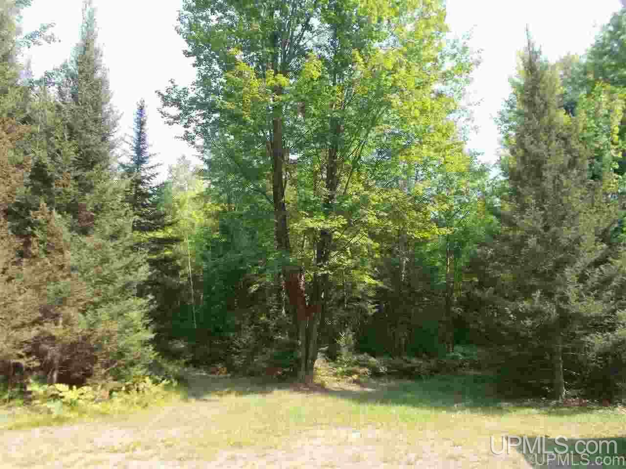 4485 Co Road Florence, WI 54121 - Photo 24 of 25