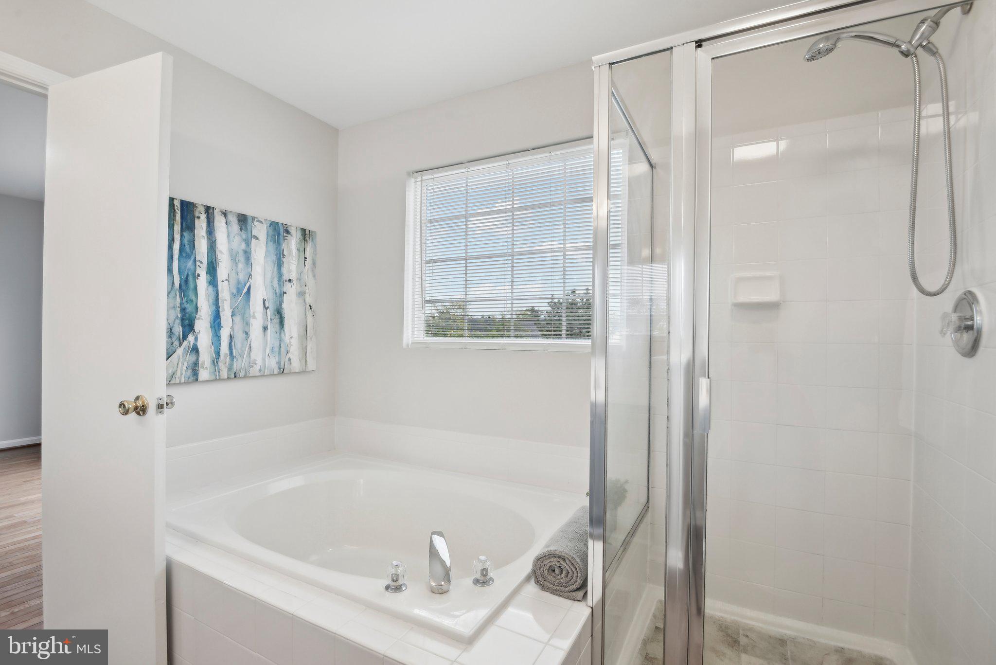 14206 Brenham Drive Centreville, VA 20121 - Photo 28 of 68 a white bath tub sitting next to a shower