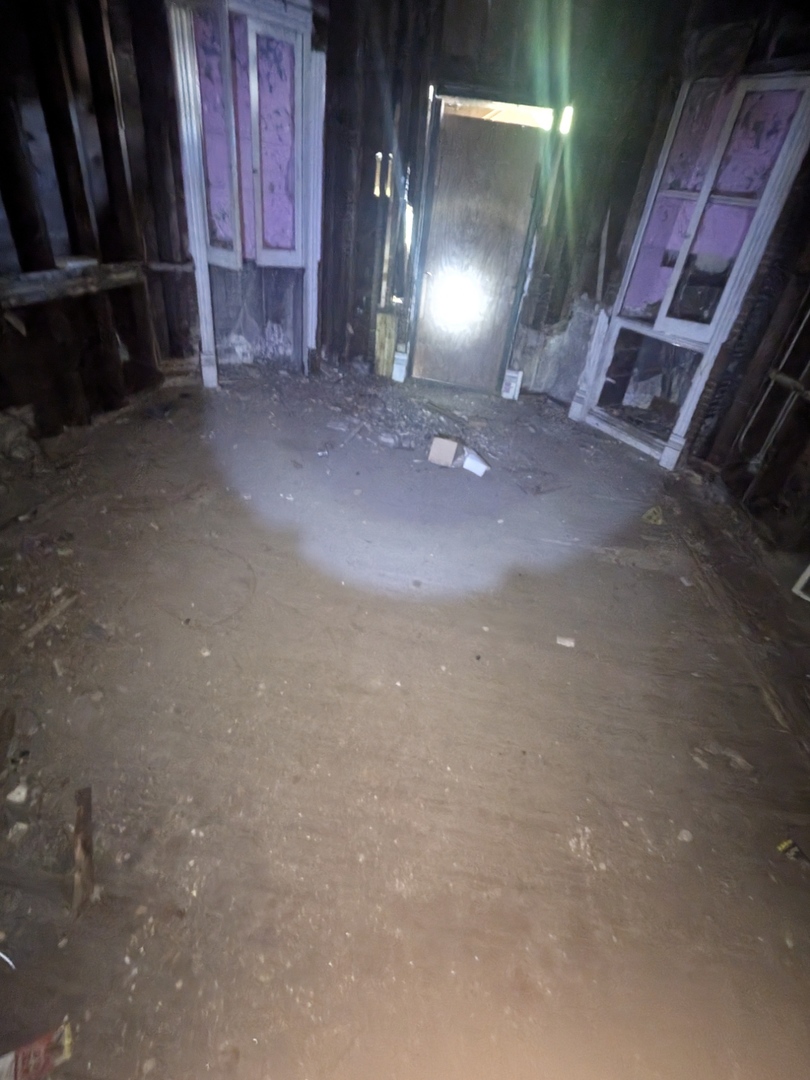 7732 South Normal Avenue Chicago, IL 60620 - Photo 23 of 29 a view of a room with fire pit and mirrors