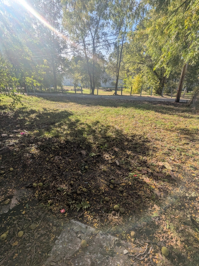 7732 South Normal Avenue Chicago, IL 60620 - Photo 5 of 29 a view of an ocean view