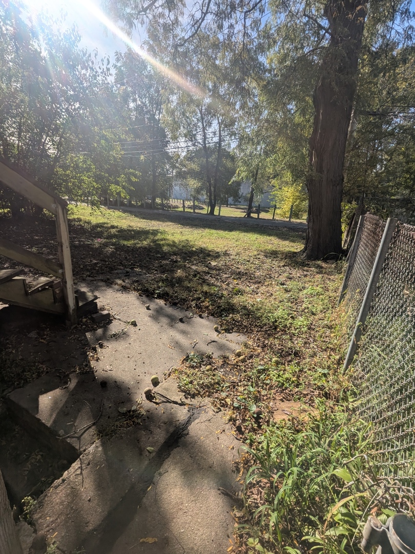 7732 South Normal Avenue Chicago, IL 60620 - Photo 7 of 29 a view of yard with trees