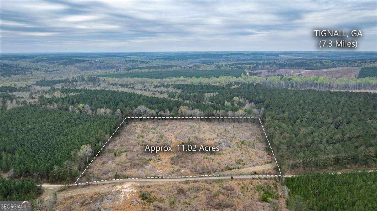 0 Fannie Matt Clark Road Tignall, GA 30668 - Photo 2 of 8