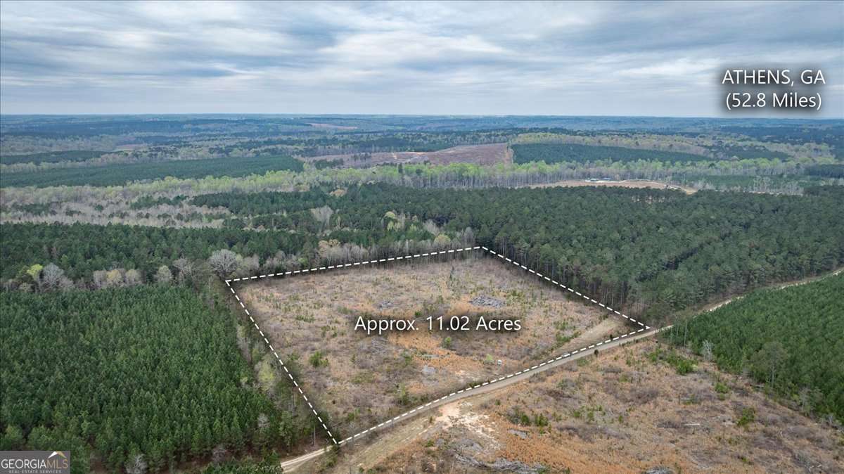 0 Fannie Matt Clark Road Tignall, GA 30668 - Photo 3 of 8