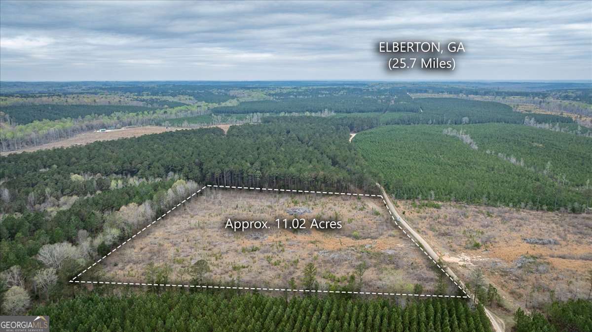 0 Fannie Matt Clark Road Tignall, GA 30668 - Photo 4 of 8