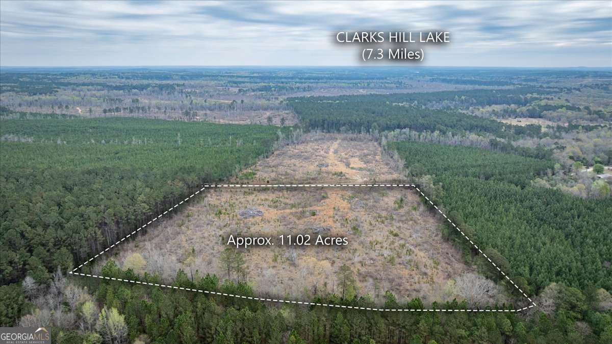 0 Fannie Matt Clark Road Tignall, GA 30668 - Photo 5 of 8