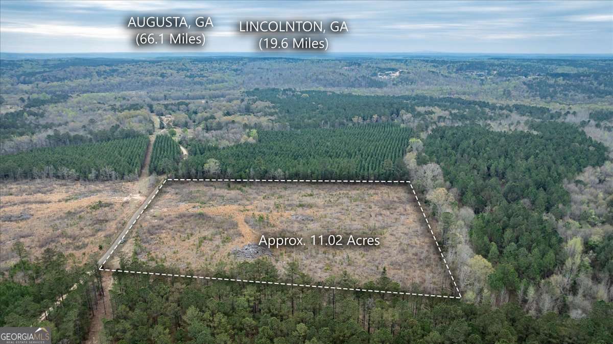 0 Fannie Matt Clark Road Tignall, GA 30668 - Photo 6 of 8