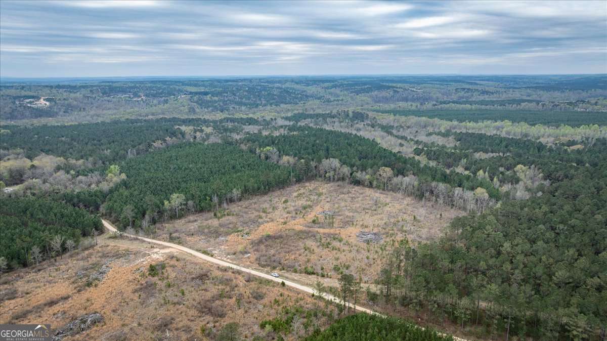 0 Fannie Matt Clark Road Tignall, GA 30668 - Photo 7 of 8