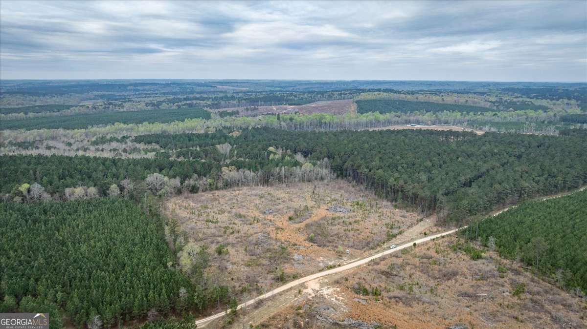 0 Fannie Matt Clark Road Tignall, GA 30668 - Photo 8 of 8