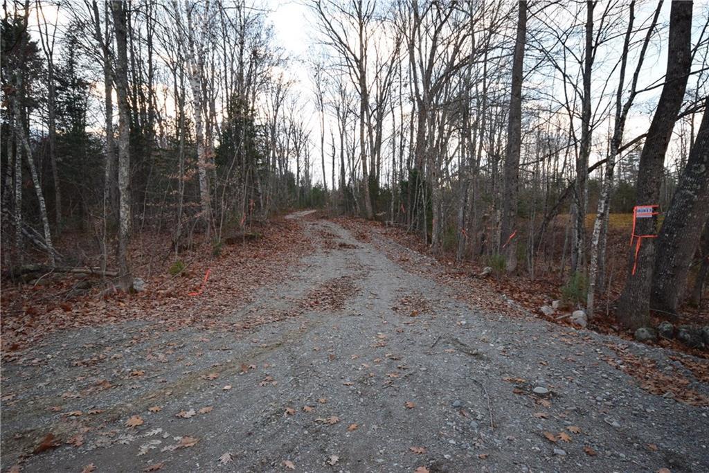 On Brimstone Road Lagrange, ME 04453 - Photo 9 of 10 Land