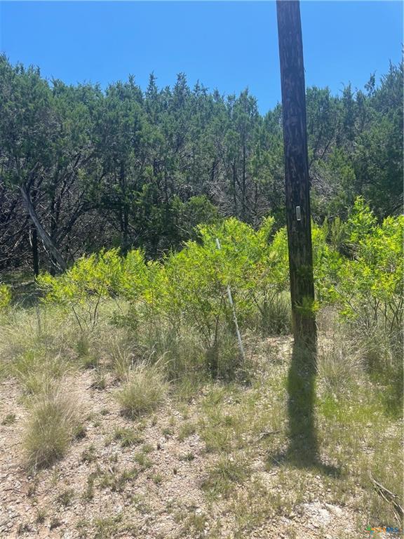 Lot 65 Estate View Circle Lampasas, TX 76550 - Photo 18 of 18 a view of a yard with large trees