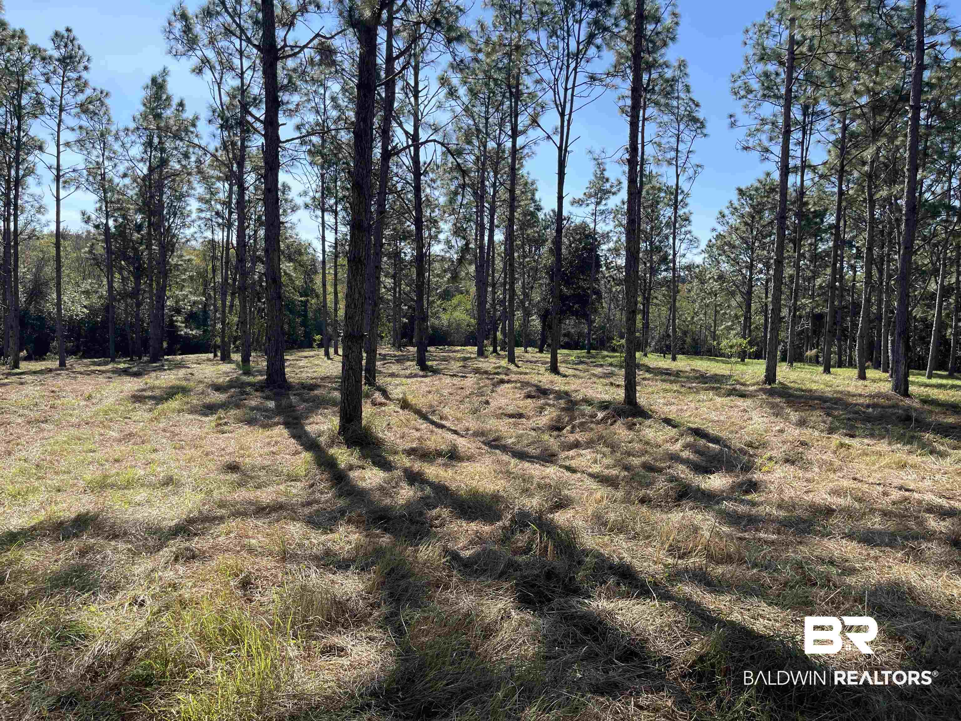 0 Fackler Road Loxley, AL 36551 - Photo 4 of 11 View of landscape
