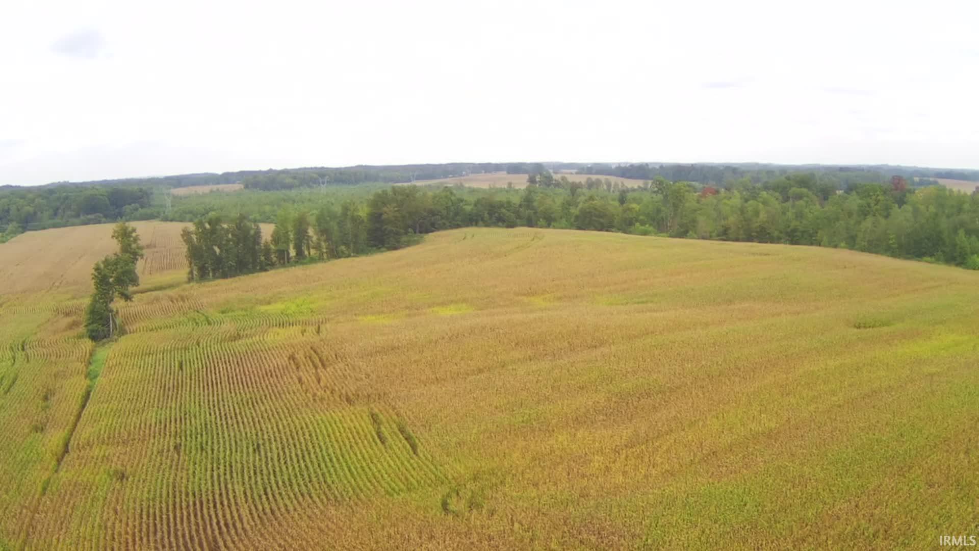 600 South E Washington, IN 47501 - Photo 3 of 13