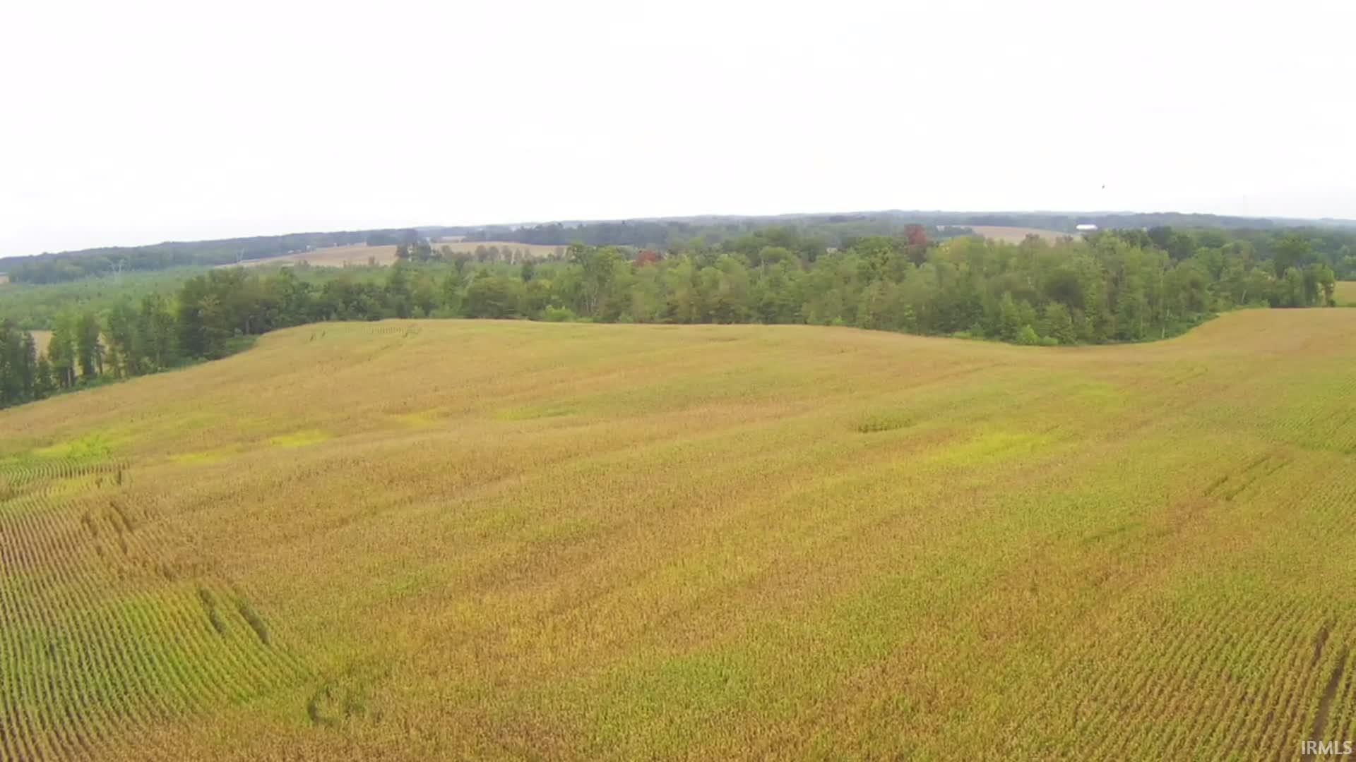 600 South E Washington, IN 47501 - Photo 4 of 13