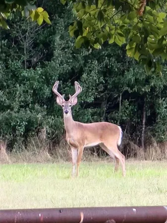 a view of a golf course with a lake view