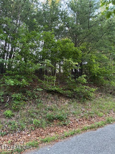 0 Top Road Sevierville, TN 37876 - Photo 4 of 9 IMG_3614_1782567952169