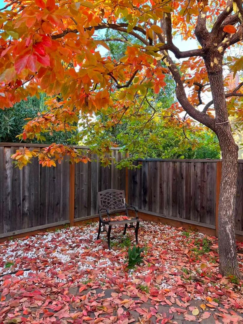 1674 South Stelling Road Cupertino, CA 95014 - Photo 73 of 74