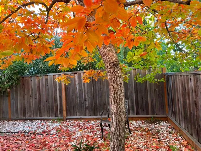 $2,899,000 | 1674 South Stelling Road, Cupertino, CA 95014