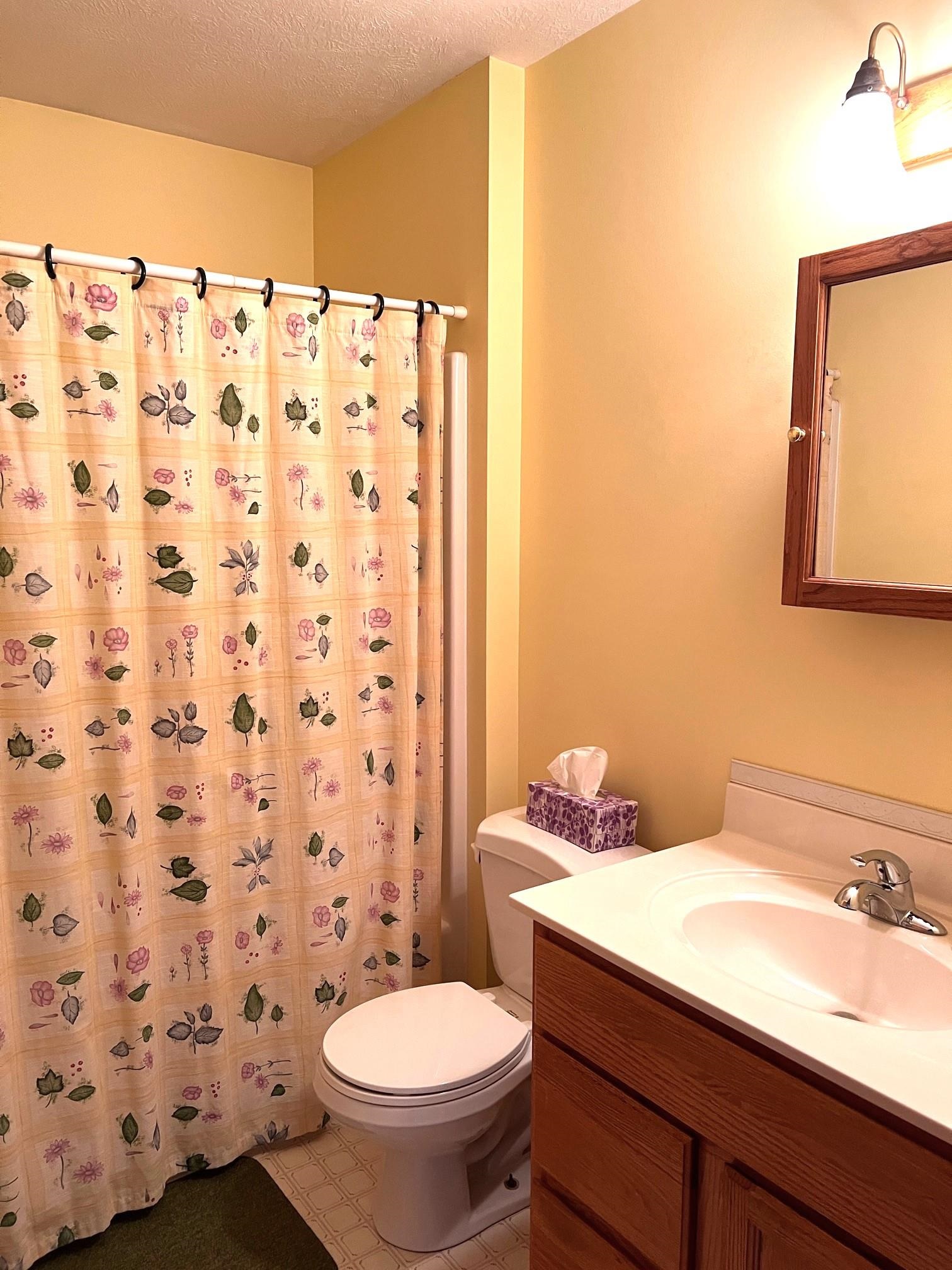 11613 South Cork Road Morrice, MI 48857 - Photo 16 of 22
