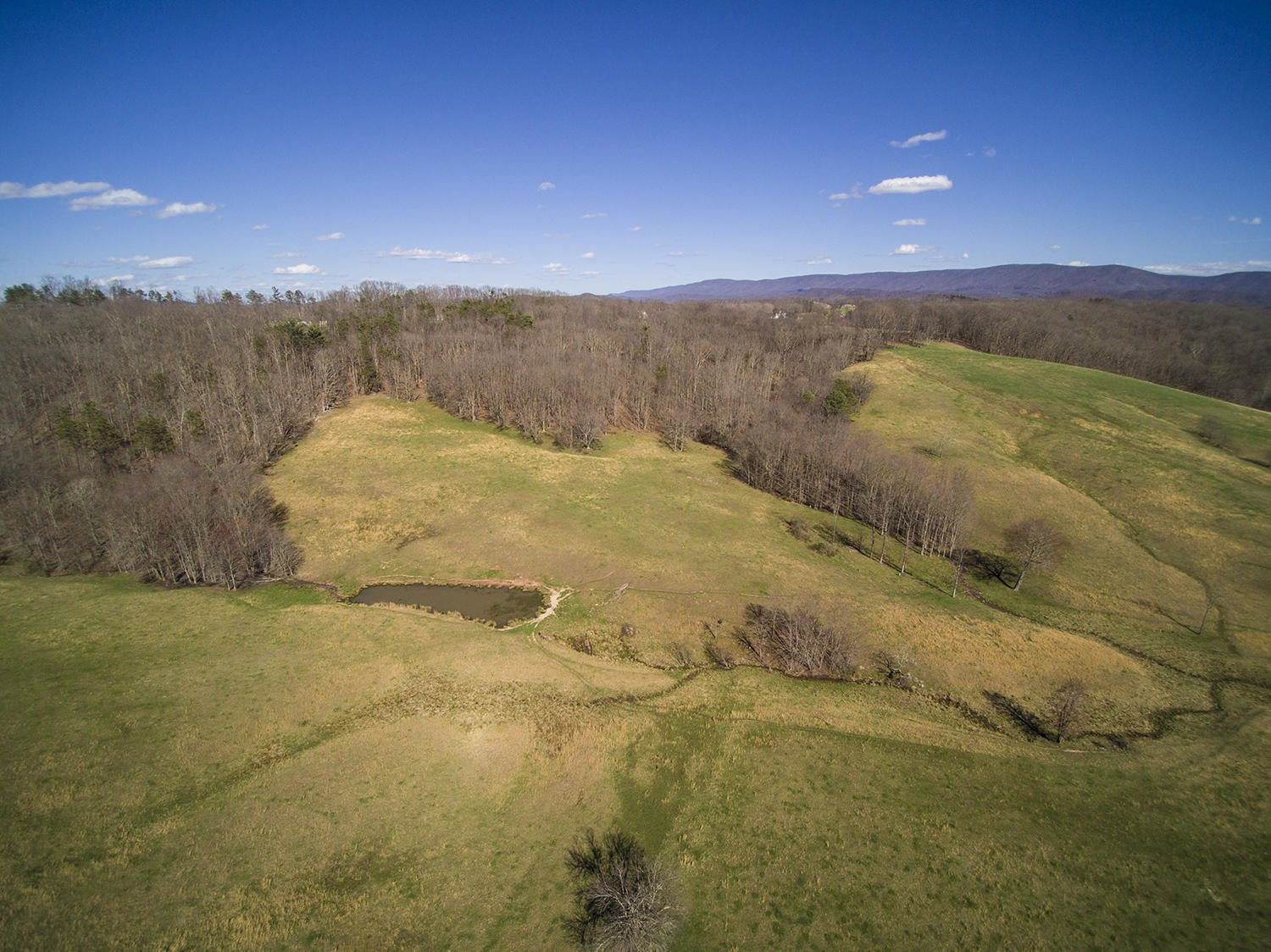 Pine Grove Road Ballard, WV 24918 - Photo 23 of 31 Gallery Image 23