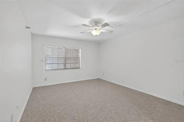 a view of a backyard with plants