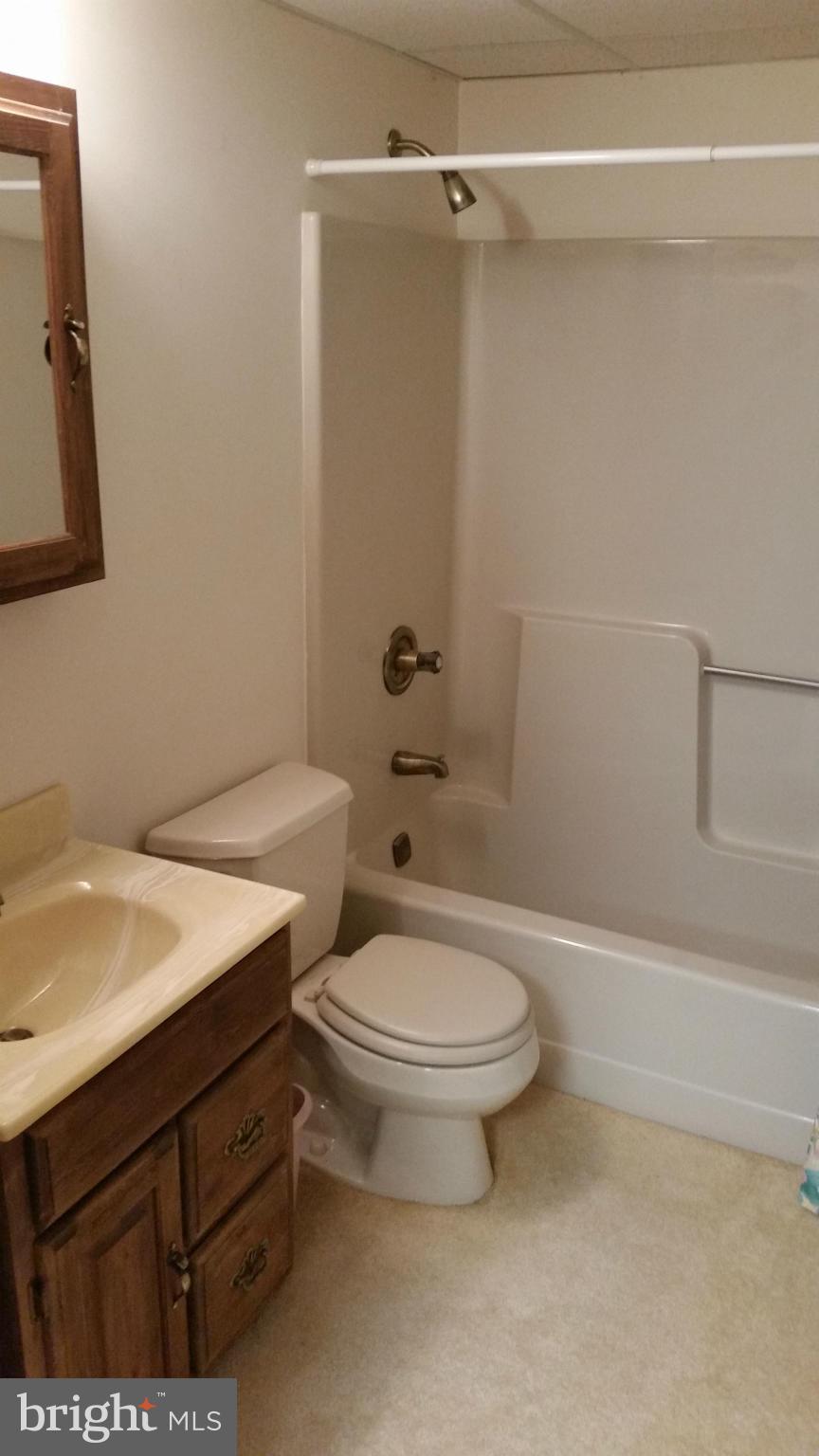 11030 Mill Bridge Road Lusby, MD 20657 - Photo 27 of 30 a bathroom with a sink a toilet and shower