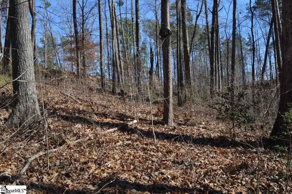 114 Keowee Overlook Road West Union, SC 29696 - Photo 5 of 20