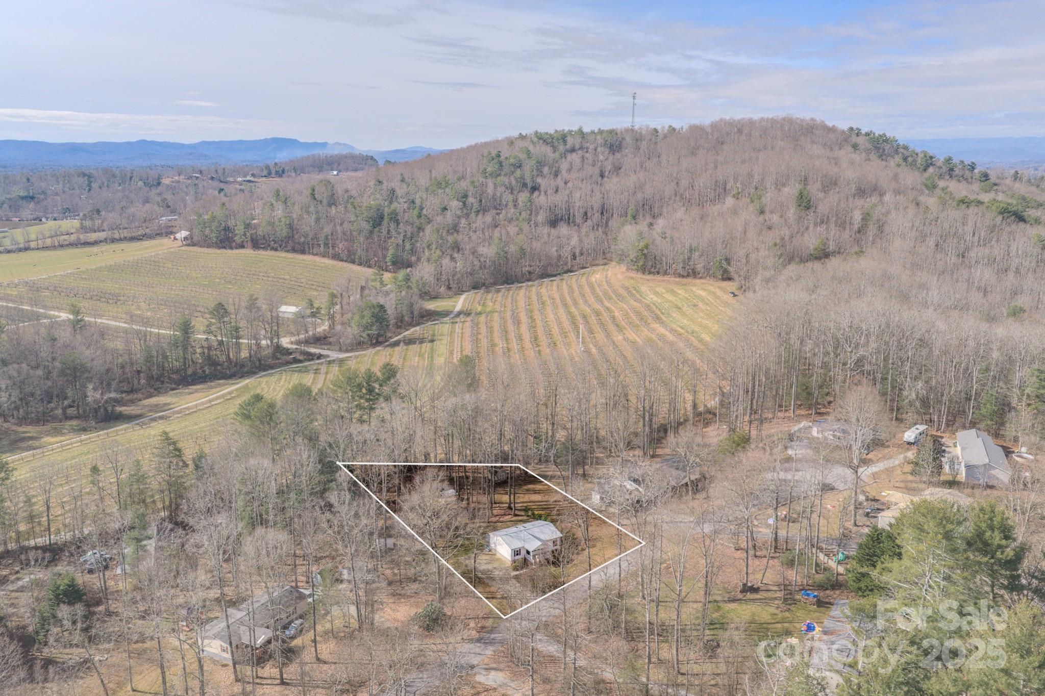 319 Sunrise Ridge Drive, Unit 19 Hendersonville, NC 28792 - Photo 23 of 30 a view of a dry yard with mountains in the background