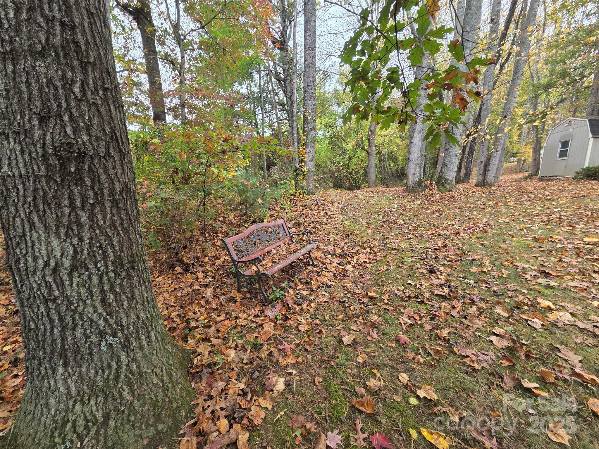 319 Sunrise Ridge Drive, Unit 19 Hendersonville, NC 28792 - Photo 30 of 30 a view of outdoor space and yard