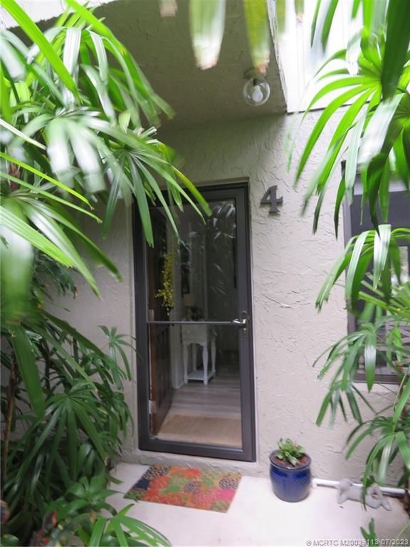 a view of banana tree