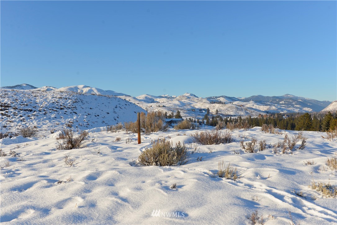 11 Ridge Drive Winthrop, WA 98862 - Photo 1 of 9 Gallery Image 1