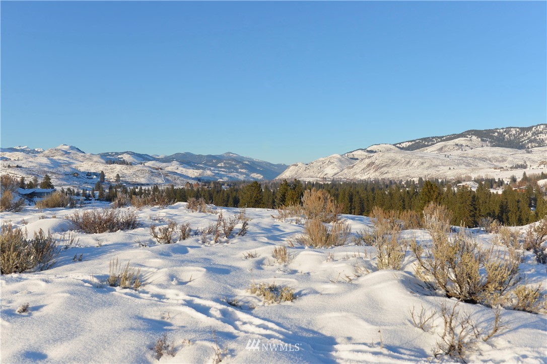 11 Ridge Drive Winthrop, WA 98862 - Photo 2 of 9 Gallery Image 2