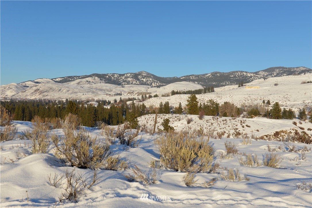 11 Ridge Drive Winthrop, WA 98862 - Photo 3 of 9 Gallery Image 3