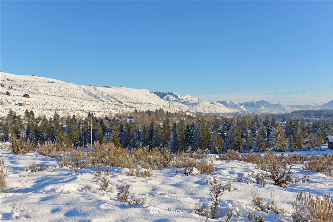 11 Ridge Drive Winthrop, WA 98862 - Photo 5 of 9 Gallery Image 5