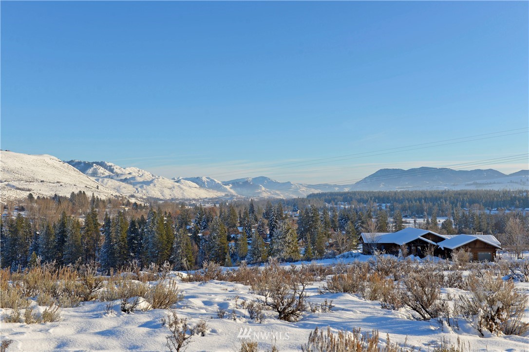 11 Ridge Drive Winthrop, WA 98862 - Photo 6 of 9 Gallery Image 6