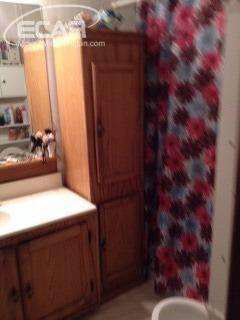3463 Castle Road North Branch, MI 48461 - Photo 11 of 16 21128663-10.JPG