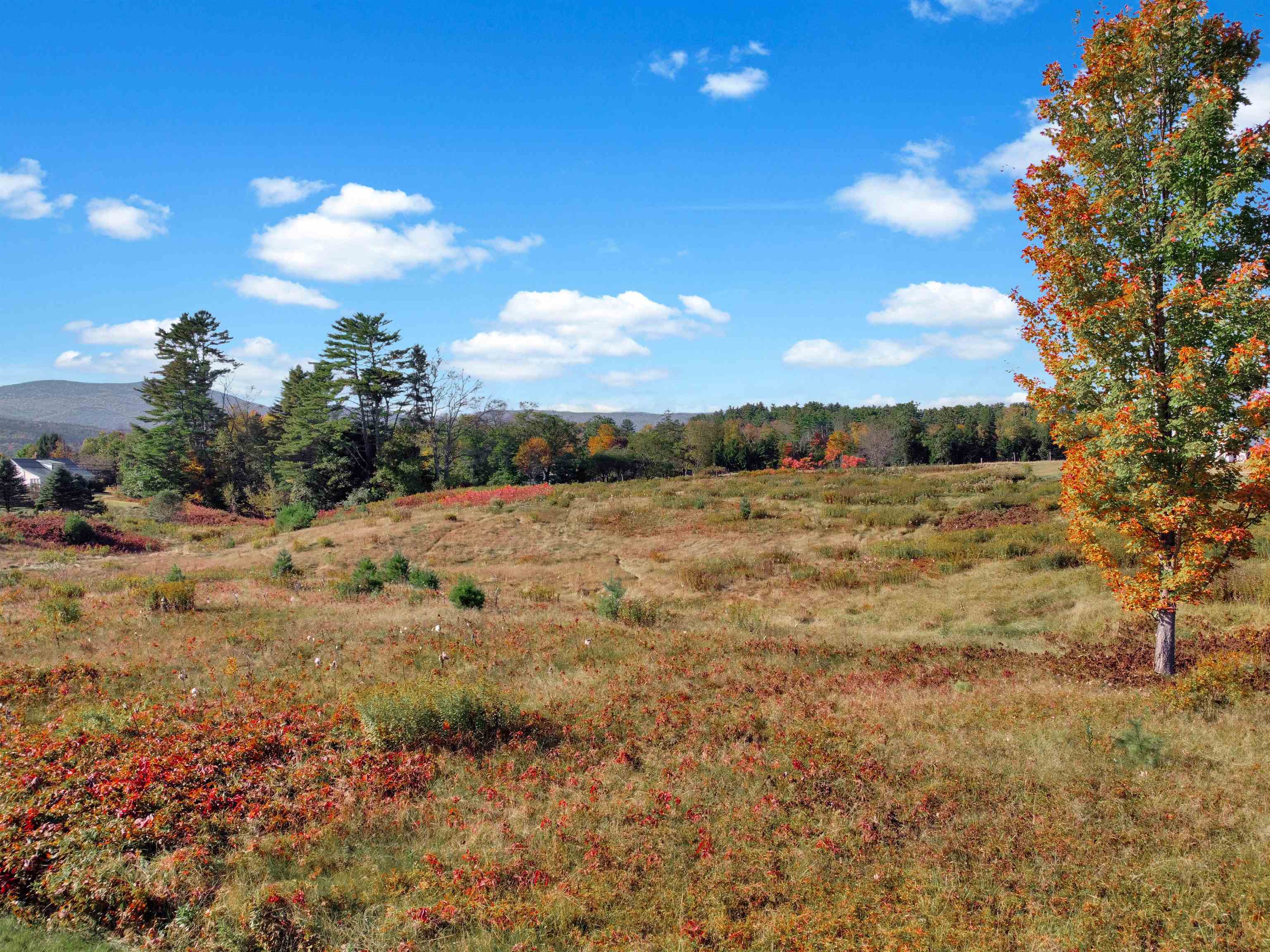 0 Benton Road Thornton, NH 03285 - Photo 11 of 17 Gallery Image 11