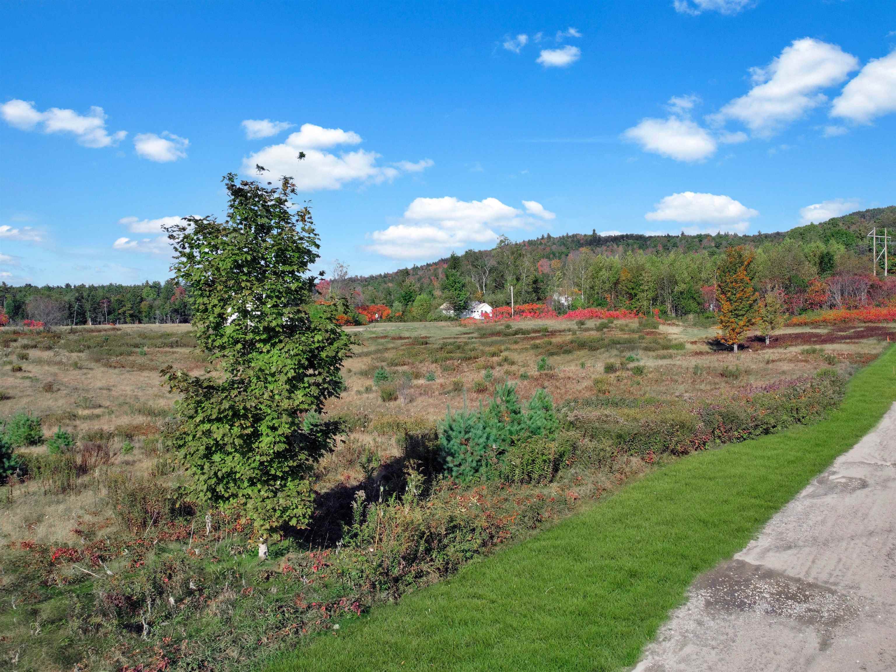 0 Benton Road Thornton, NH 03285 - Photo 4 of 17 Gallery Image 4