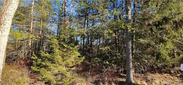 $39,900 | Lot 57.1 Yulan-barryville Road, Barryville, NY 12719