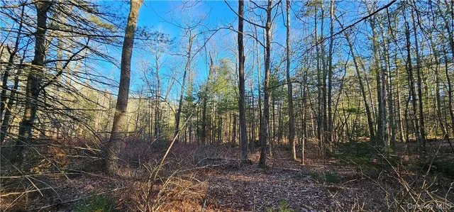 $39,900 | Lot 57.1 Yulan-barryville Road, Barryville, NY 12719
