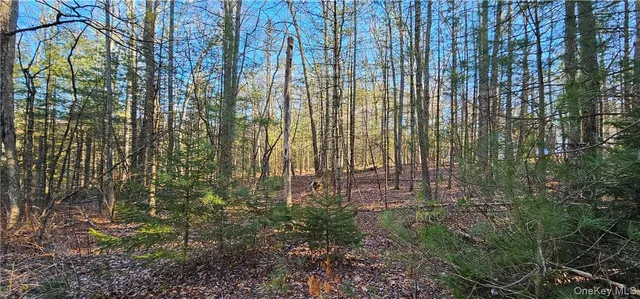 $39,900 | Lot 57.1 Yulan-barryville Road, Barryville, NY 12719