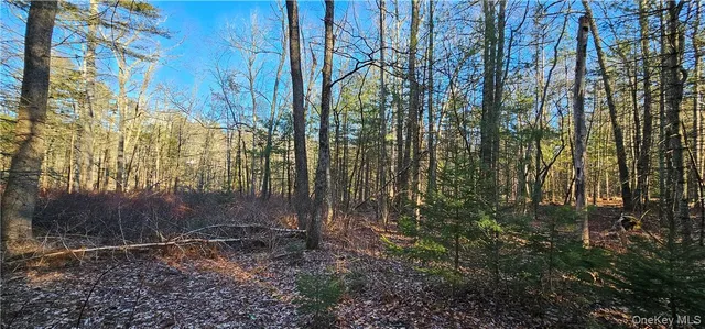 $39,900 | Lot 57.1 Yulan-barryville Road, Barryville, NY 12719