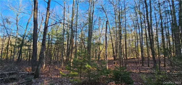 $39,900 | Lot 57.1 Yulan-barryville Road, Barryville, NY 12719